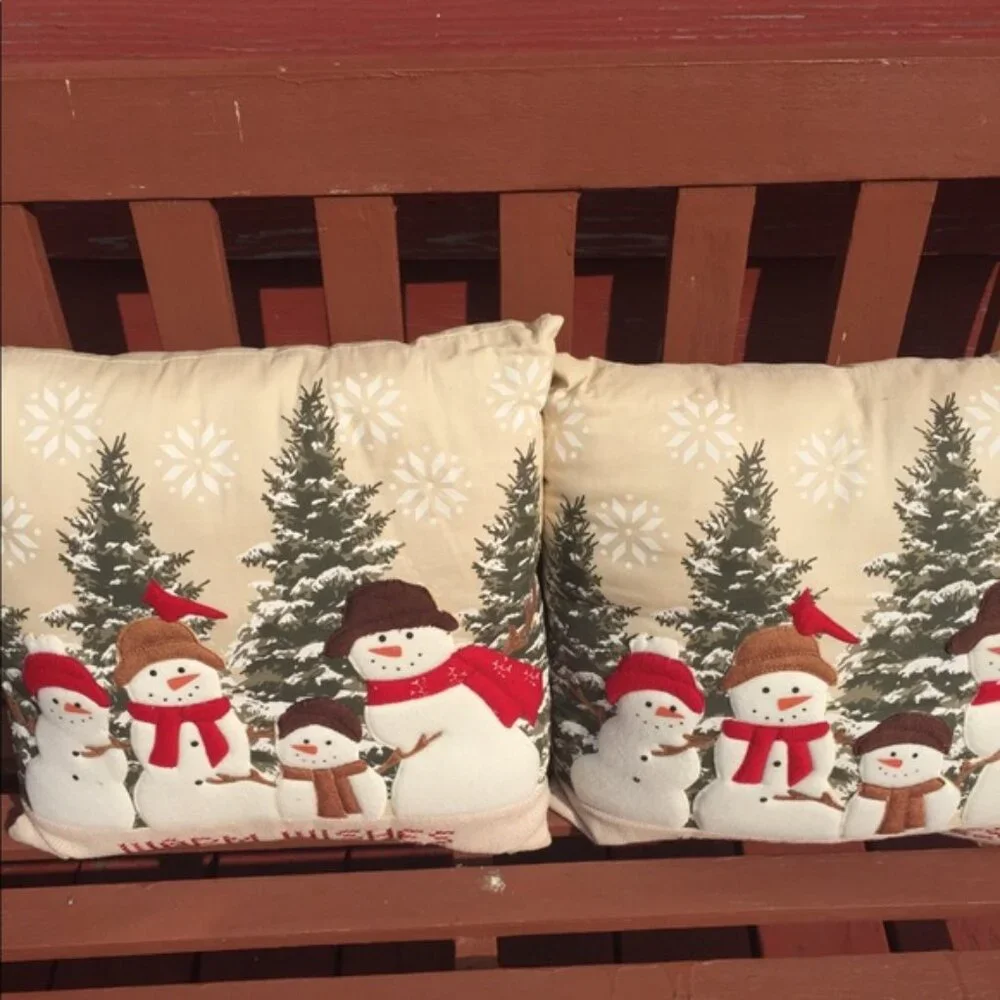 Pair of winter themed pillows